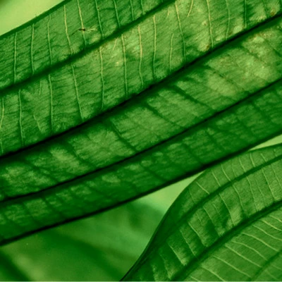 Biotherm Aquasource Sérum Concentré Hydratation Profonde Et Lumière – Image 2