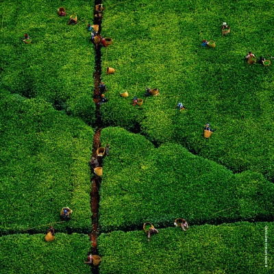 Guerlain Aqua Allegoria Harvest Nerolia Vetiver Eau De Toilette – Image 6