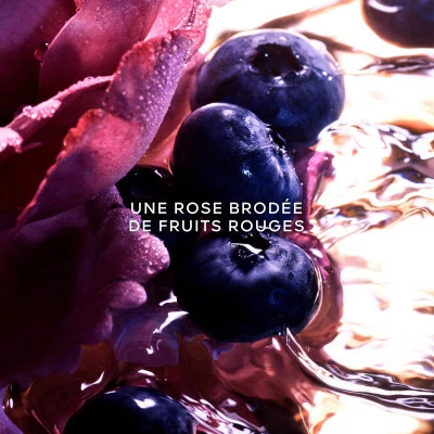 Guerlain Coffret La Petite Robe Noire Coffret Pour Femme – Image 4