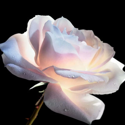 Dior Prestige Le Concentré Yeux – Image 4