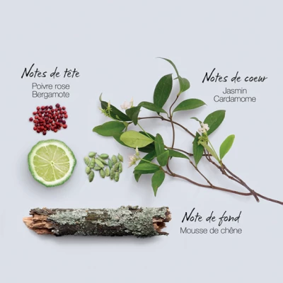 Mauboussin Discovery Eau De Parfum – Image 4