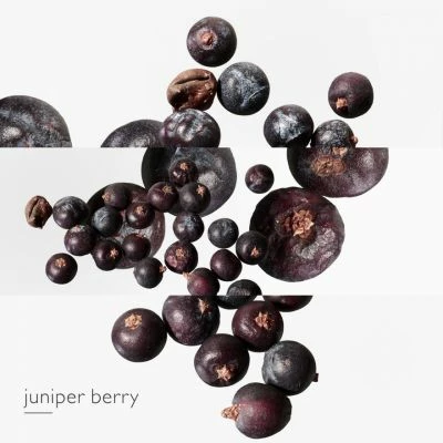 Hermès Eau Des Merveilles Bleue Eau De Toilette – Image 4