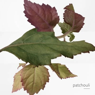 Hermès Eau Des Merveilles Bleue Eau De Toilette – Image 5