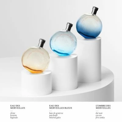 Hermès Eau Des Merveilles Bleue Eau De Toilette – Image 8