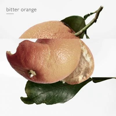 Hermès Eau Des Merveilles Eau De Toilette – Image 7