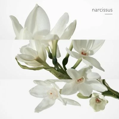 Hermès Eau De Narcisse Bleu Eau De Cologne – Image 4