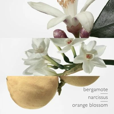 Hermès Eau De Narcisse Bleu Eau De Cologne – Image 8