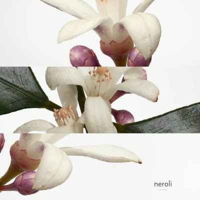 Hermès Eau De Néroli Doré Eau De Cologne – Image 4