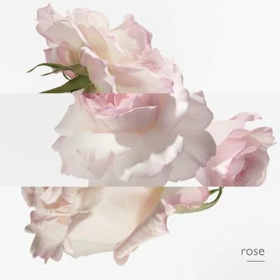 Hermès Eau De Pamplemousse Rose Eau De Cologne – Image 6