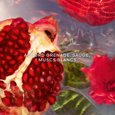 Guerlain Aqua Allegoria Granada Salvia Eau De Toilette – Image 2