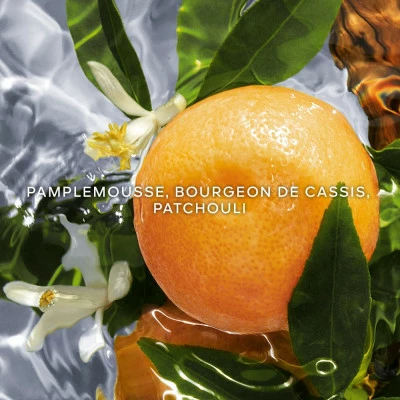 Guerlain Aqua Allegoria Pamplelune Eau De Toilette – Image 2