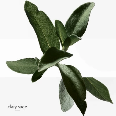 Hermès H24 Déodorant – Image 5