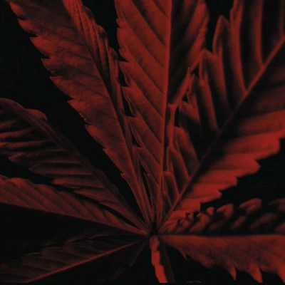 Guerlain Habit Rouge L'Instinct Eau De Toilette Intense – Image 4