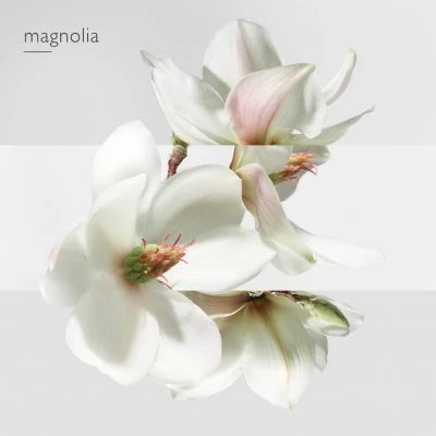 Hermès Un Jardin Sur La Lagune Eau De Toilette – Image 5