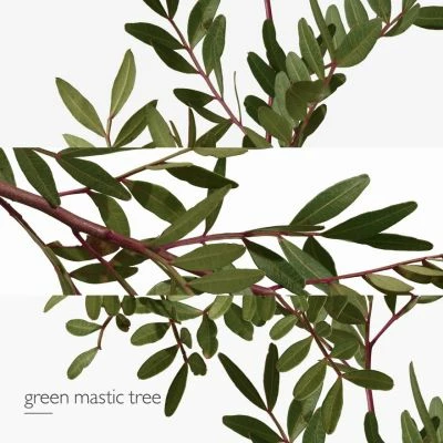 Hermès Un Jardin En Méditerranée Eau De Toilette – Image 5