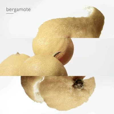 Hermès Le Jardin De Monsieur Li Eau De Toilette – Image 7