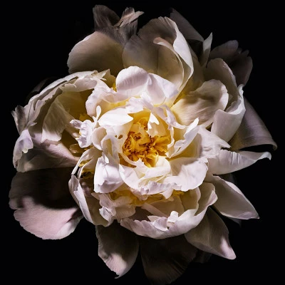 Yves Saint Laurent Mon Paris Lumière Eau De Toilette – Image 4