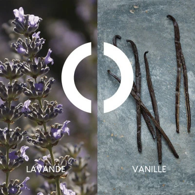 Pour Un Homme De CARON Gel Douche – Image 3