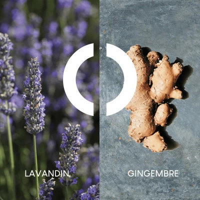 Pour Un Homme De CARON Le Matin Gel Douche – Image 3