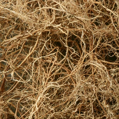 Safari Men Eau De Toilette – Image 5