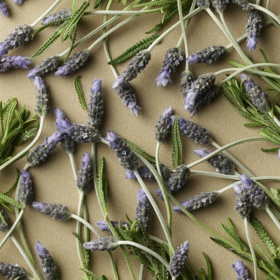 Safari Men Eau De Toilette – Image 6