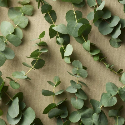 Safari Men Eau De Toilette – Image 7