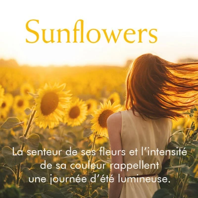 Elizabeth Arden Sunflowers Eau De Toilette – Image 5