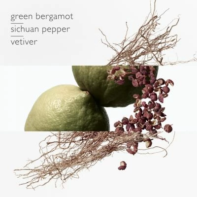 Terre D'Hermès Eau Intense Vétiver Eau De Parfum – Image 5