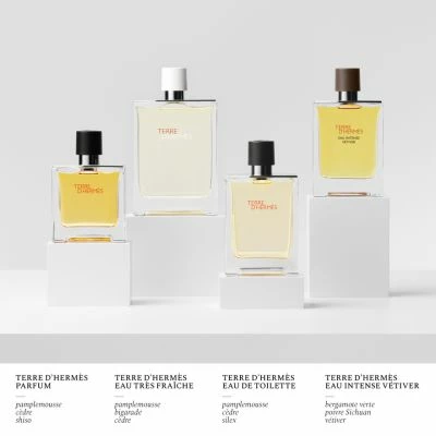 Terre D'Hermès Eau De Toilette – Image 6