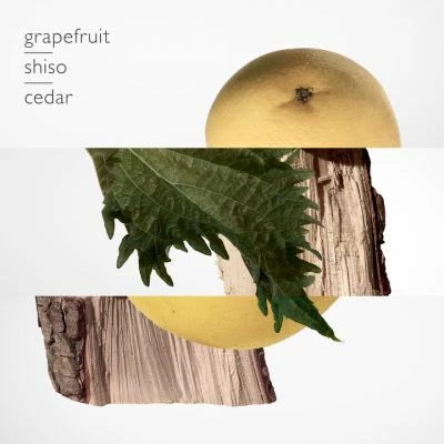 Terre D'Hermès Parfum – Image 2