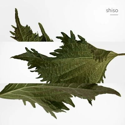 Terre D'Hermès Parfum – Image 5