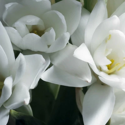 Woman Eau De Parfum – Image 4