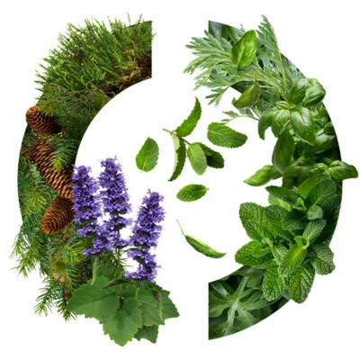 Yatagan Eau De Toilette – Image 2